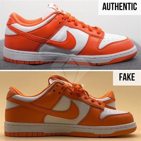 real nike dunks